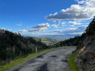 Sonoma California cycling 